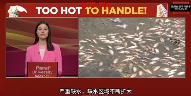 大V：印度电力被48度高温击穿 制造业美梦破碎