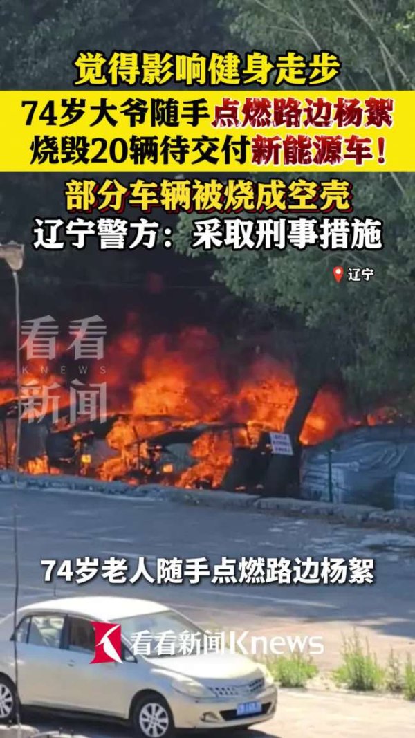 老人烧杨絮引燃20辆汽车 随意举动酿大祸