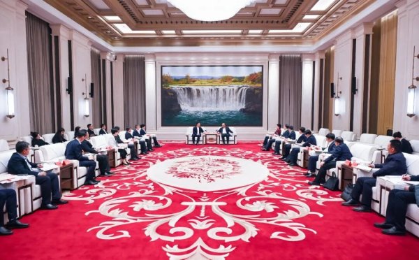 东北两省书记省长会见刘强东