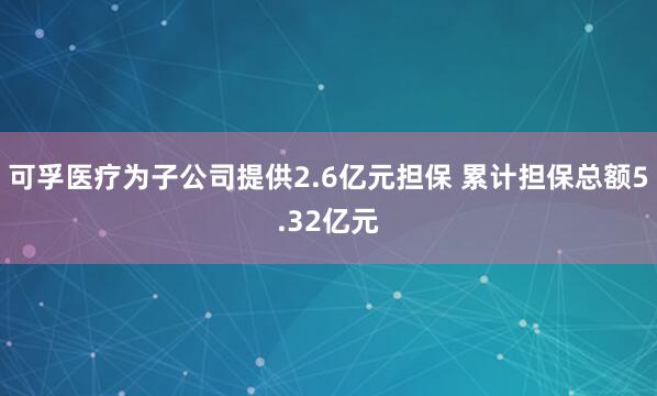 可孚医疗为子公司提供2.6亿元担保 累计担保总额5.32亿元