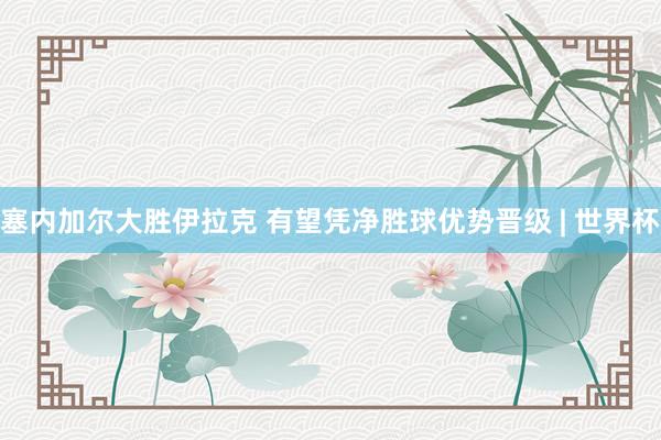 塞内加尔大胜伊拉克 有望凭净胜球优势晋级 | 世界杯