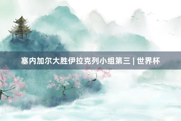 塞内加尔大胜伊拉克列小组第三 | 世界杯