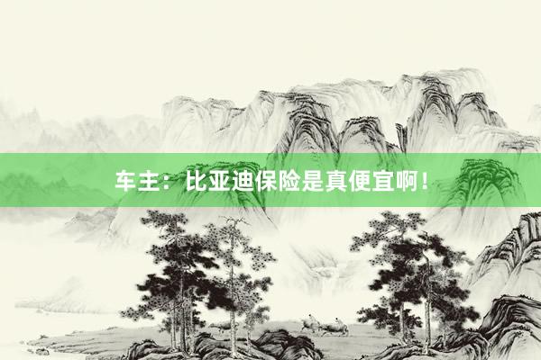 车主：比亚迪保险是真便宜啊！