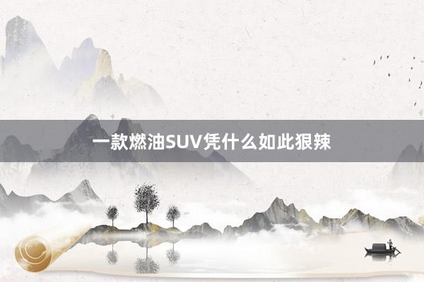 一款燃油SUV凭什么如此狠辣