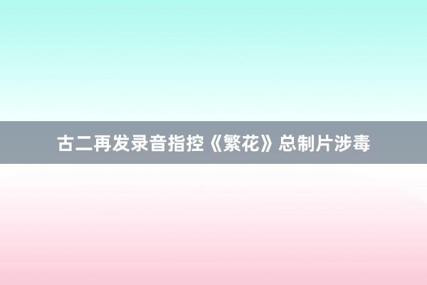 古二再发录音指控《繁花》总制片涉毒
