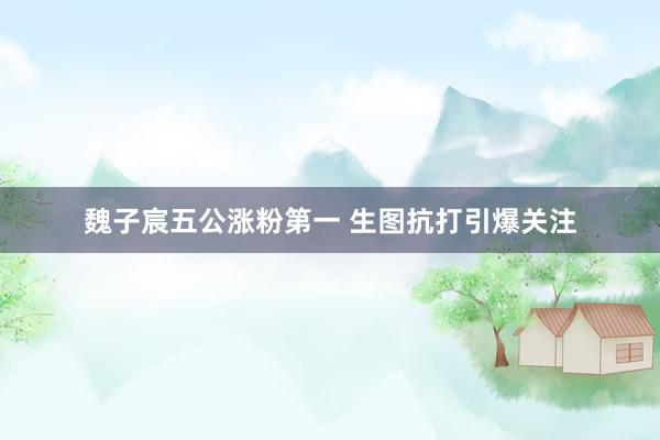 魏子宸五公涨粉第一 生图抗打引爆关注