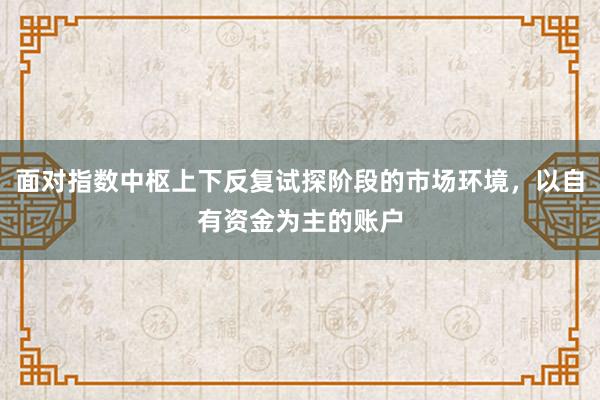 面对指数中枢上下反复试探阶段的市场环境，以自有资金为主的账户