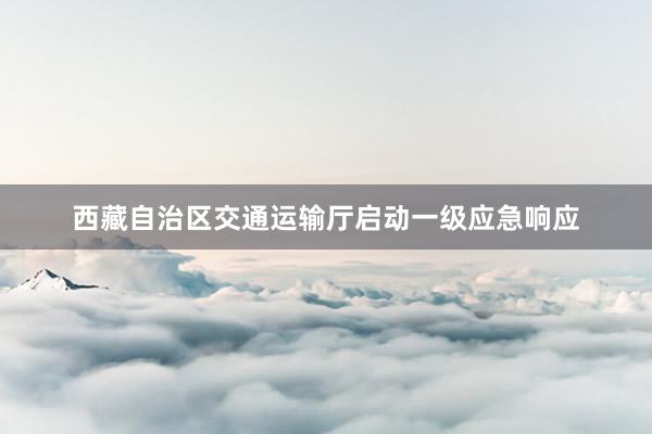 西藏自治区交通运输厅启动一级应急响应