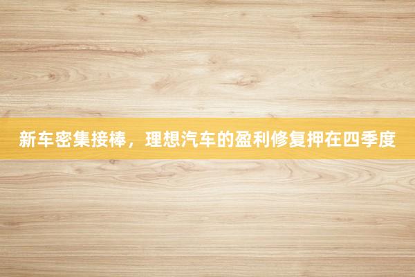 新车密集接棒，理想汽车的盈利修复押在四季度