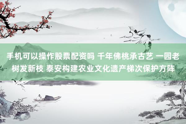 手机可以操作股票配资吗 千年佛桃承古艺 一园老树发新枝 泰安构建农业文化遗产梯次保护方阵